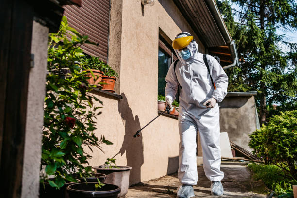 Best Ant Control Services  in Colfax, WI