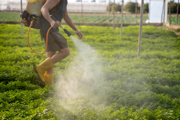 Professional Pest Control in Colfax, WI